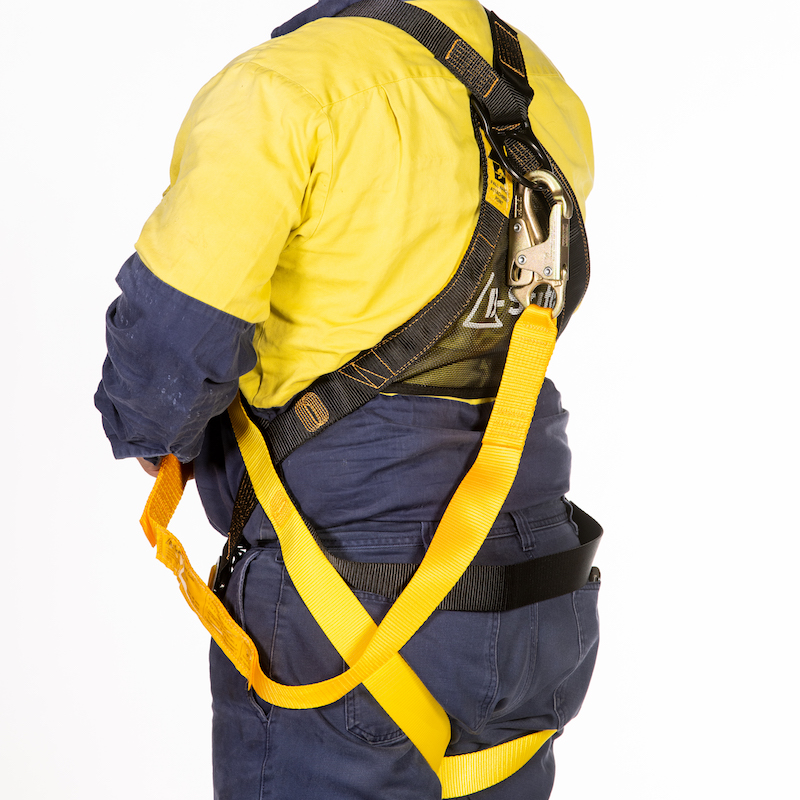 Safety Harness with Lanyard