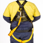 Safety Harness with Lanyard