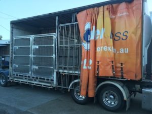 Custom heavy duty freight cages